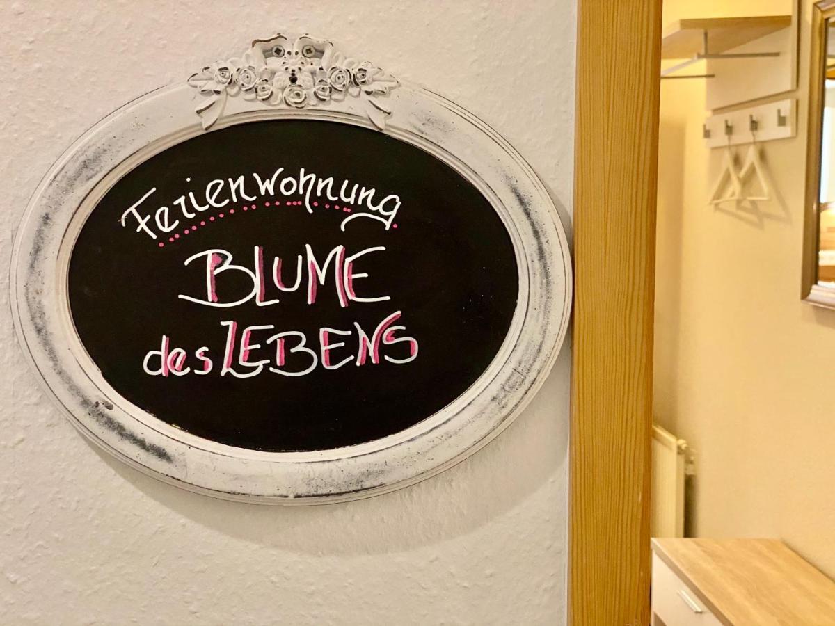 Gesundheitshof Denker Apartment Reußenköge Bagian luar foto