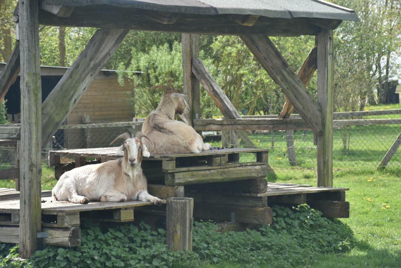 Gesundheitshof Denker Apartment Reußenköge Bagian luar foto